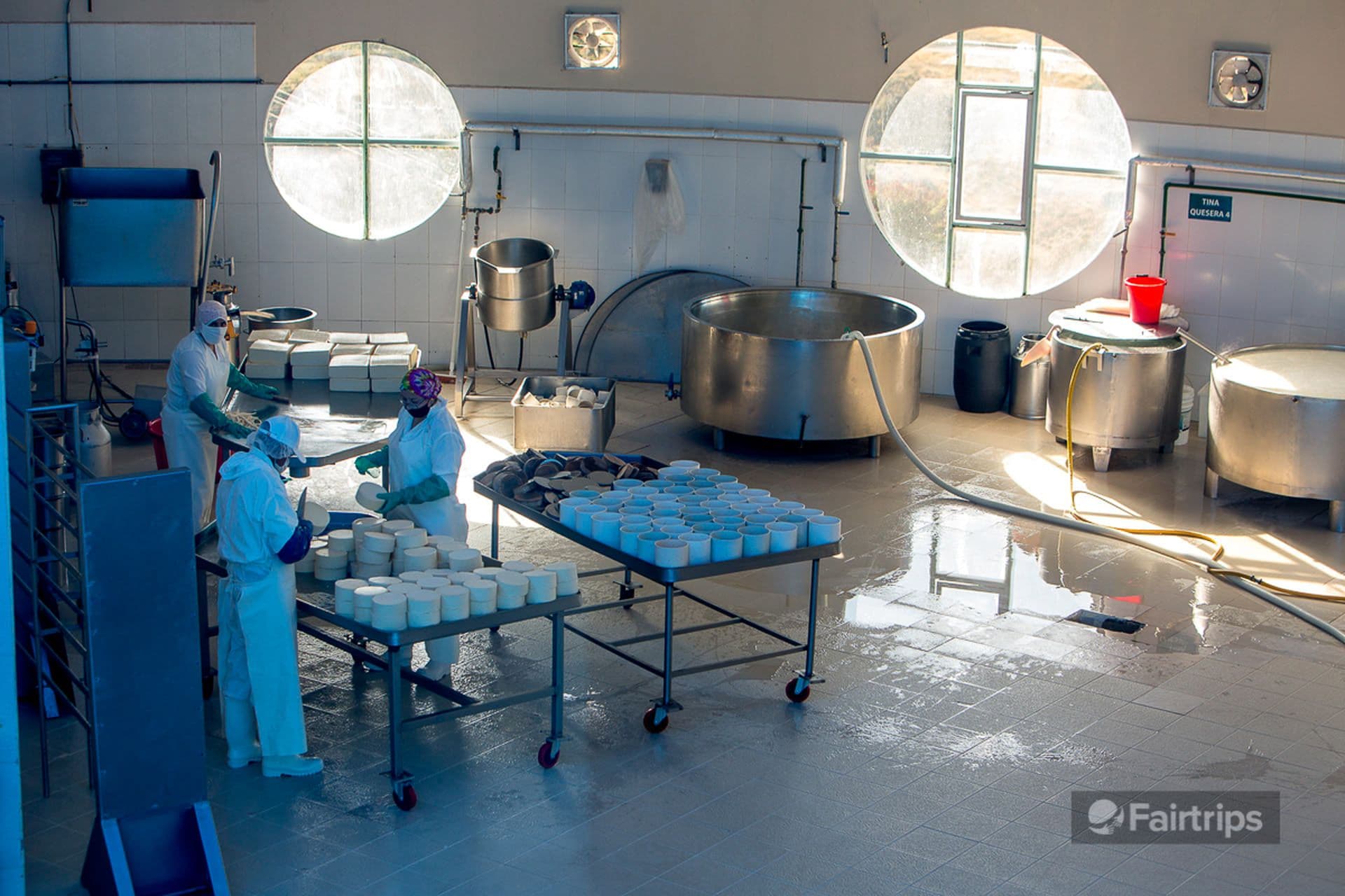 Cheese factory tour Salinas
