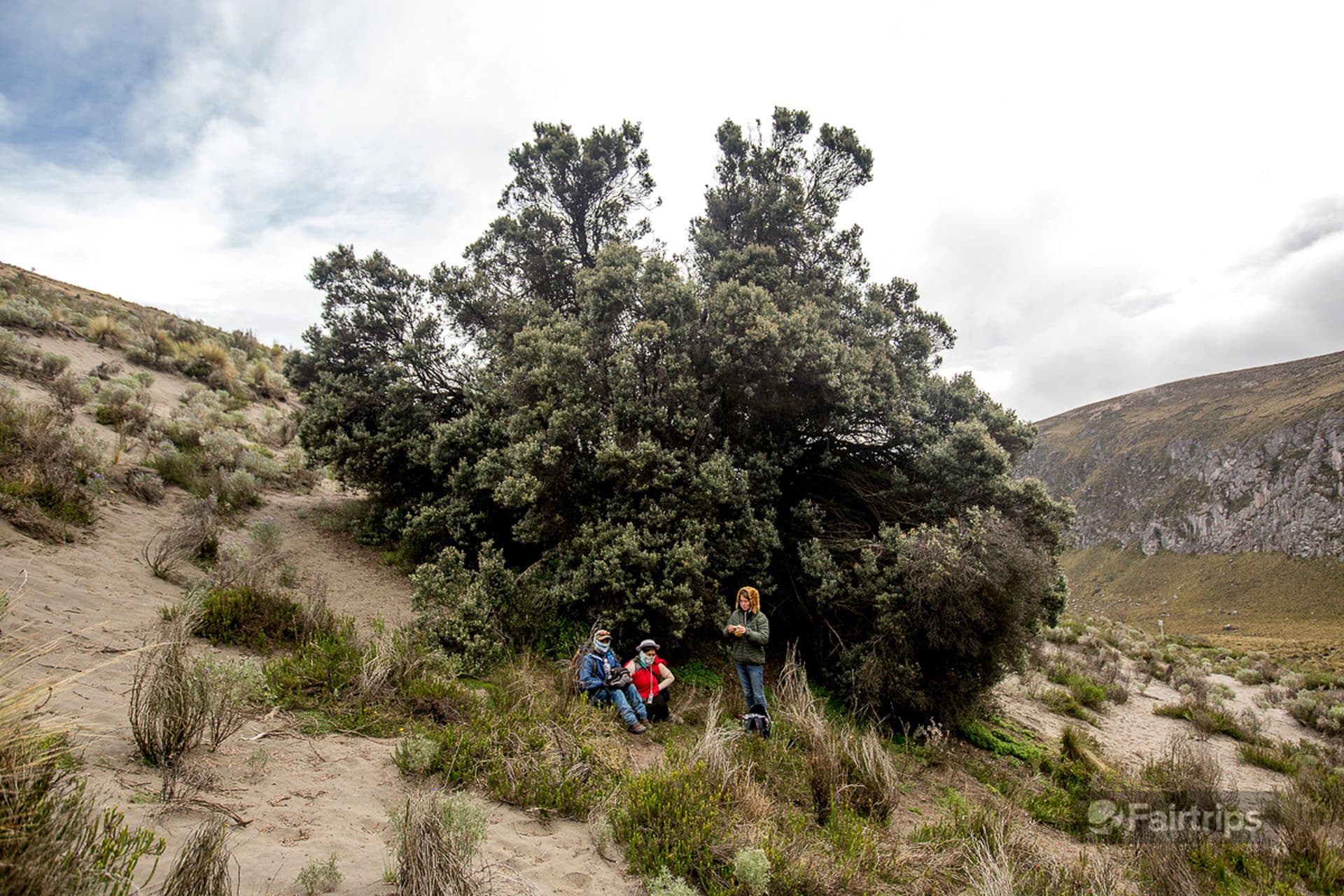 Downwards from Templo Machay to the arbol solitario