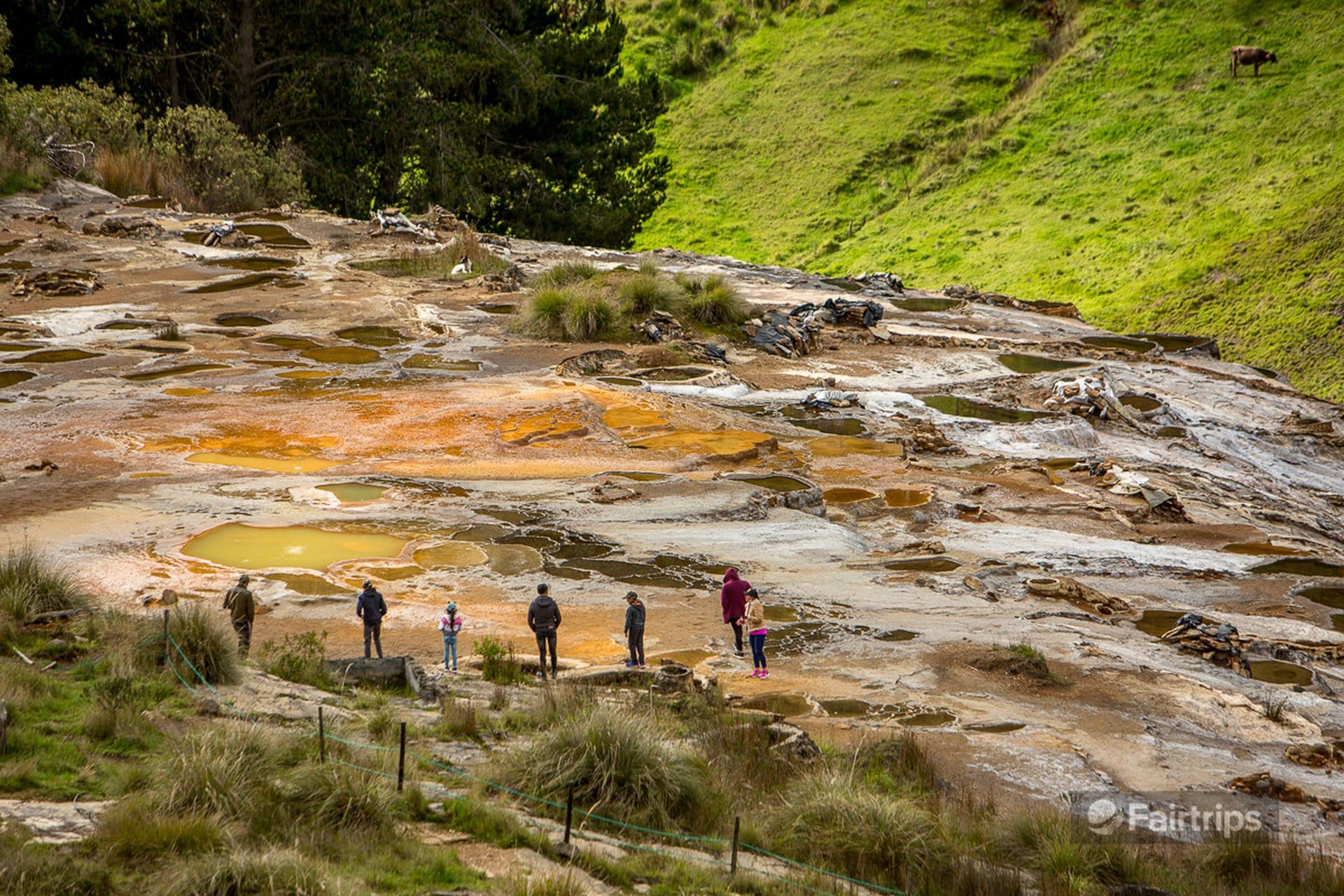 Natural salt water spring in Salinas