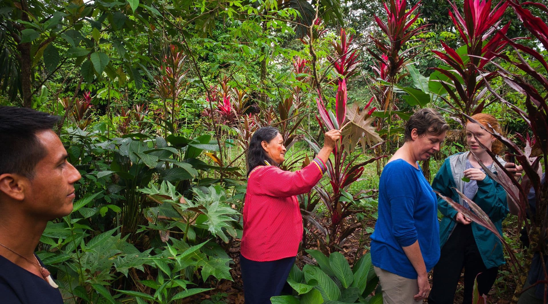 Garden of Medicinal Plants in Amupakin